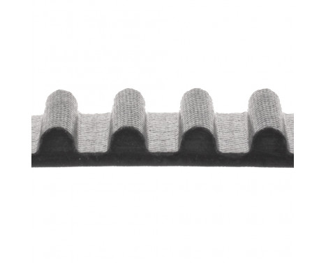 Timing Belt ADT37524 Blue Print, Image 2