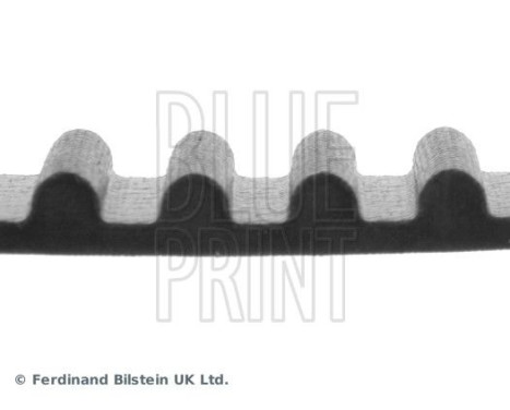Timing Belt ADT37527 Blue Print, Image 4