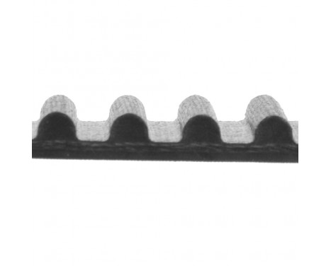 Timing Belt ADT37528 Blue Print, Image 2