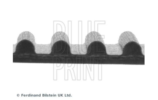 Timing Belt ADT37528 Blue Print, Image 4