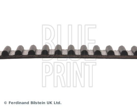 Timing Belt ADT37530 Blue Print, Image 4