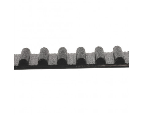 Timing Belt ADT37531 Blue Print, Image 2
