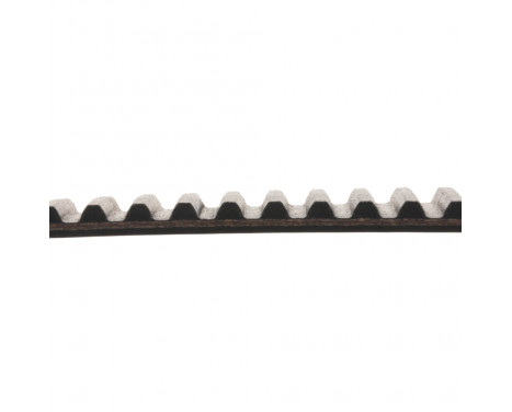 Timing Belt ADT37532 Blue Print, Image 2