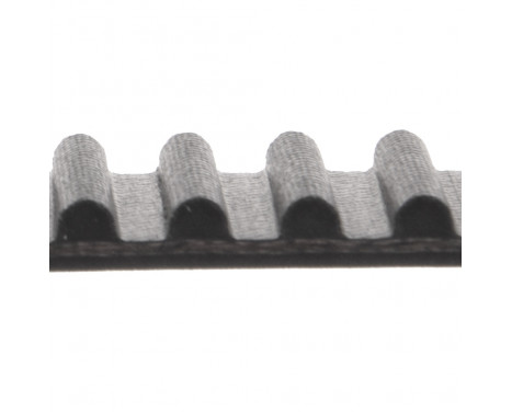 Timing Belt ADT37537 Blue Print, Image 2