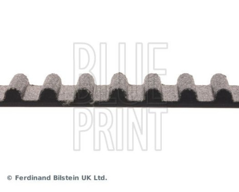 Timing Belt ADT37539 Blue Print, Image 4