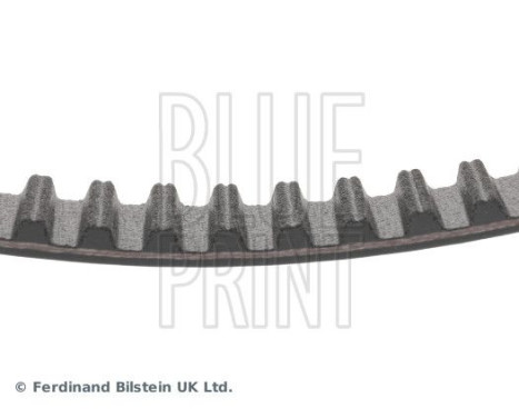 Timing Belt ADT37543 Blue Print, Image 5