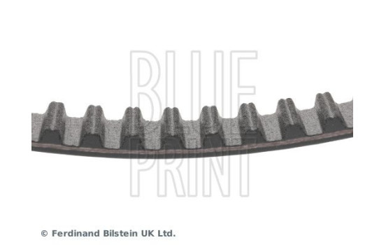 Timing Belt ADT37543 Blue Print, Image 5