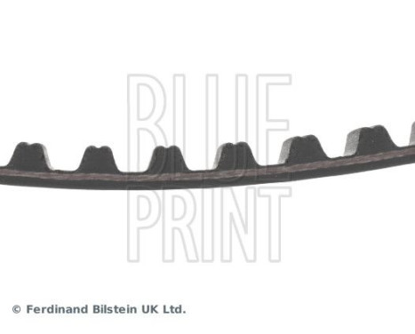 Timing Belt ADT37543 Blue Print, Image 6