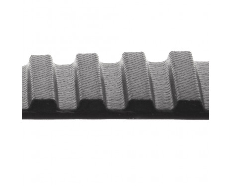 Timing Belt ADZ97507 Blue Print, Image 2