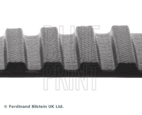 Timing Belt ADZ97507 Blue Print, Image 4