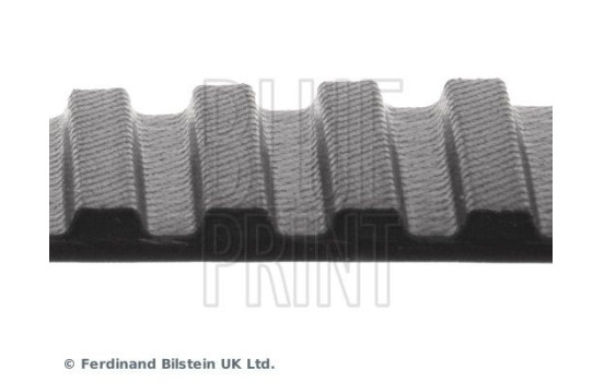 Timing Belt ADZ97507 Blue Print, Image 4