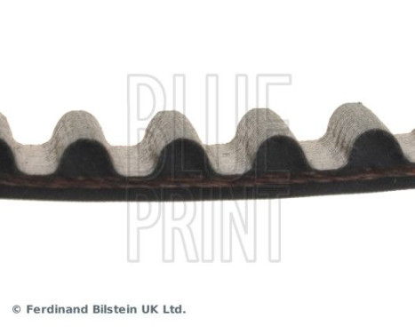 Timing Belt ADZ97511 Blue Print, Image 4