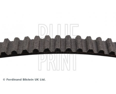 Timing Belt ADZ97514 Blue Print, Image 4