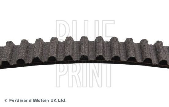 Timing Belt ADZ97514 Blue Print, Image 4