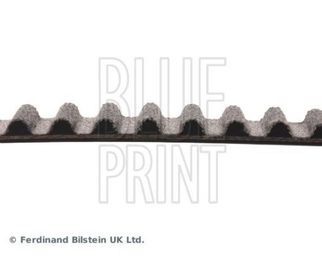 Timing Belt ADZ97516 Blue Print, Image 4