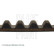 Timing Belt ADZ97517 Blue Print, Thumbnail 4