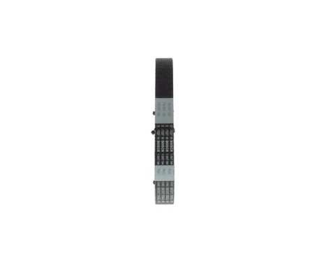 Timing Belt CHDR11059,525M25,4 Bosch, Image 2