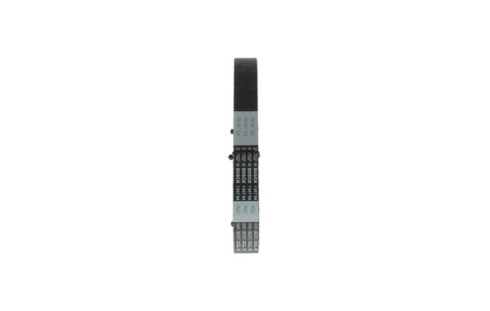 Timing belt CHDR11059,525M25,4 Bosch, Image 2