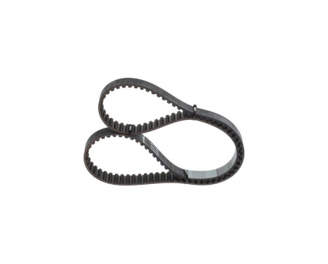 Timing Belt CPPN10008M22ZZP Bosch, Image 3