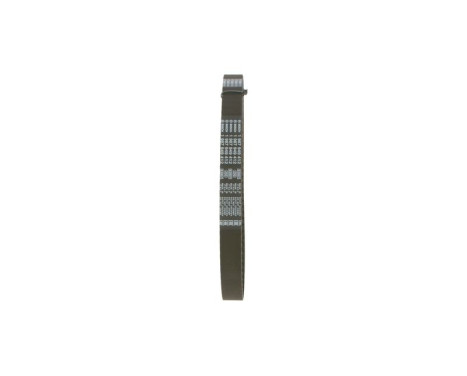 Timing Belt CPPN12959,525M25 Bosch, Image 4