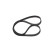 Timing Belt CPPN14579,525M30 Bosch