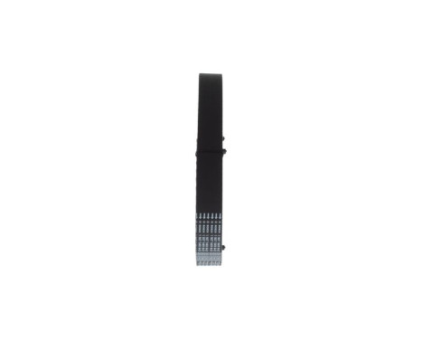 Timing Belt CPPN14579,525M30 Bosch, Image 2