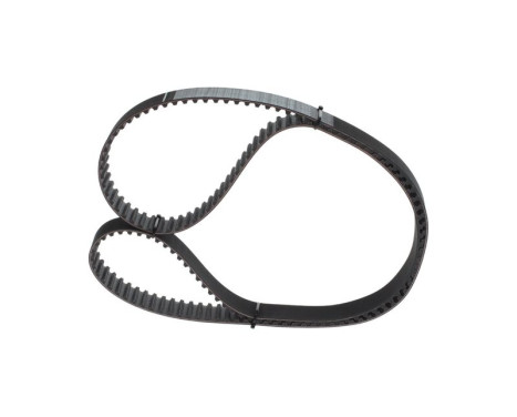 Timing belt CPPN16959,525M30 Bosch, Image 3