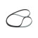Timing Belt CPPN18579,525M30 Bosch
