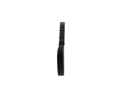 Timing Belt CPPN8109,525M20 Bosch, Image 4