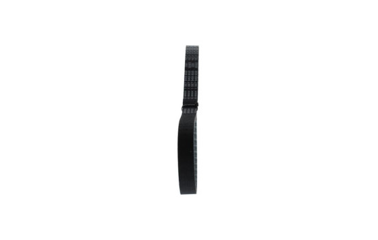 Timing belt CPPN8109,525M20 Bosch, Image 4