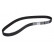 Timing Belt CT 1184 Contitech