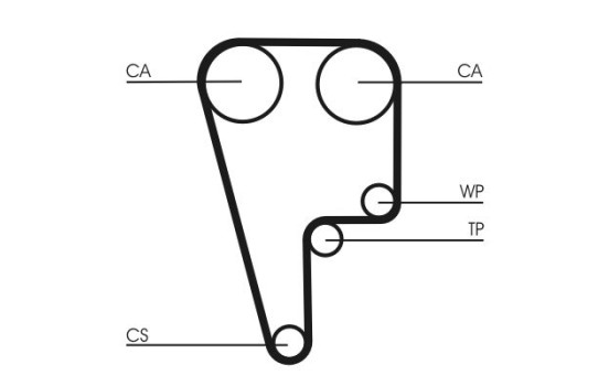 Timing belt CT1006 Contitech, Image 4