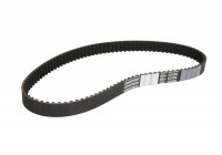 Timing Belt CT1013 Contitech