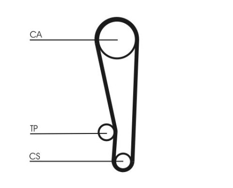 Timing Belt CT1013 Contitech, Image 3