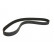 Timing Belt CT1016 Contitech