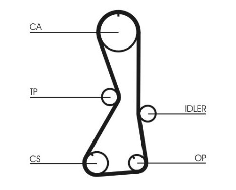 Timing Belt CT1016 Contitech, Image 3