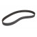 Timing Belt CT1018 Contitech