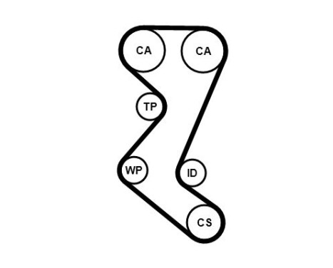Timing Belt CT1019 Contitech, Image 3