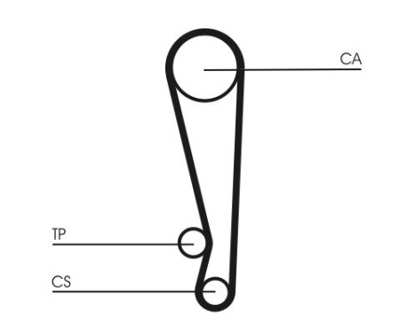 Timing Belt CT1024 Contitech, Image 4