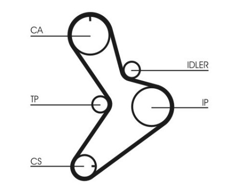 Timing Belt CT1038 Contitech, Image 3