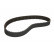 Timing Belt CT1042 Contitech