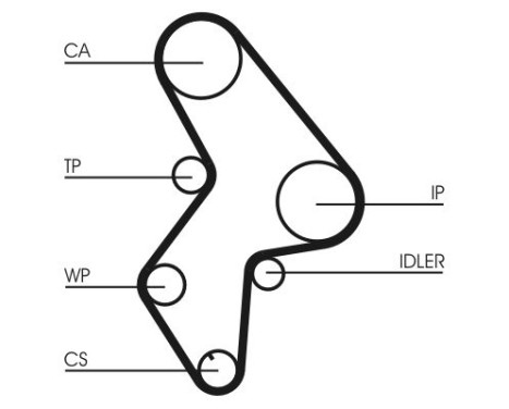 Timing Belt CT1061 Contitech, Image 3