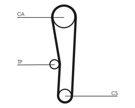 Timing belt CT1062 Contitech, Image 3