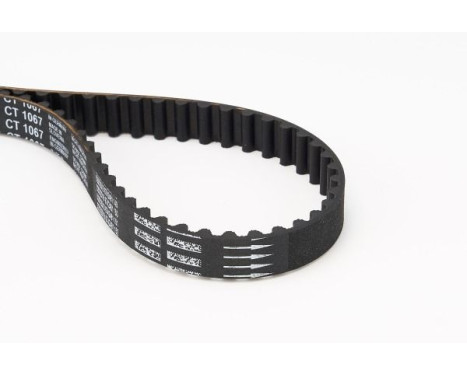 Timing Belt CT1067 Contitech, Image 5