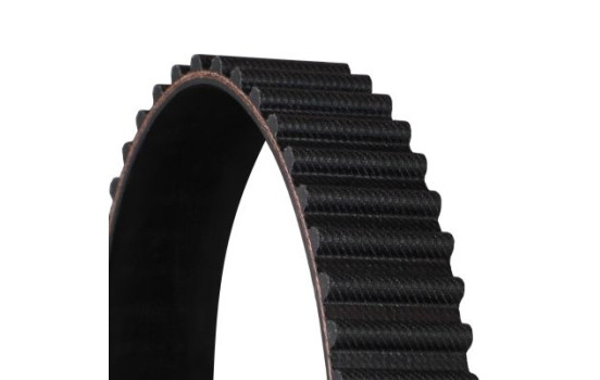 Timing belt CT1072 Contitech, Image 3