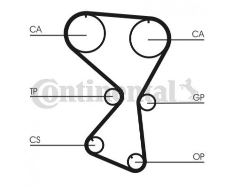Timing Belt CT1075 Contitech, Image 2