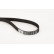 Timing Belt CT1077 Contitech, Thumbnail 4