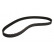 Timing Belt CT1081 Contitech