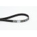 Timing Belt CT1081 Contitech, Thumbnail 2