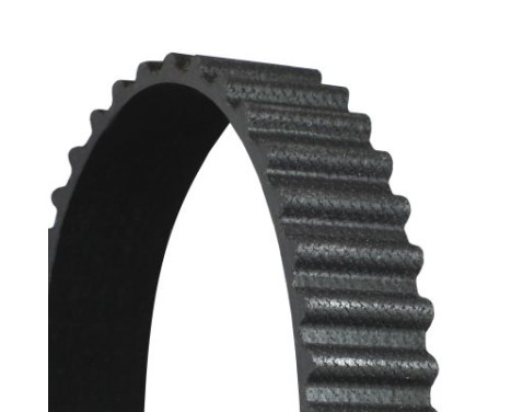 Timing Belt CT1087 Contitech, Image 3